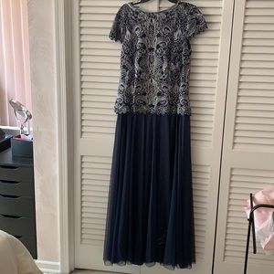 COPY - COPY - A size 14 Tadashi Shoji gown
